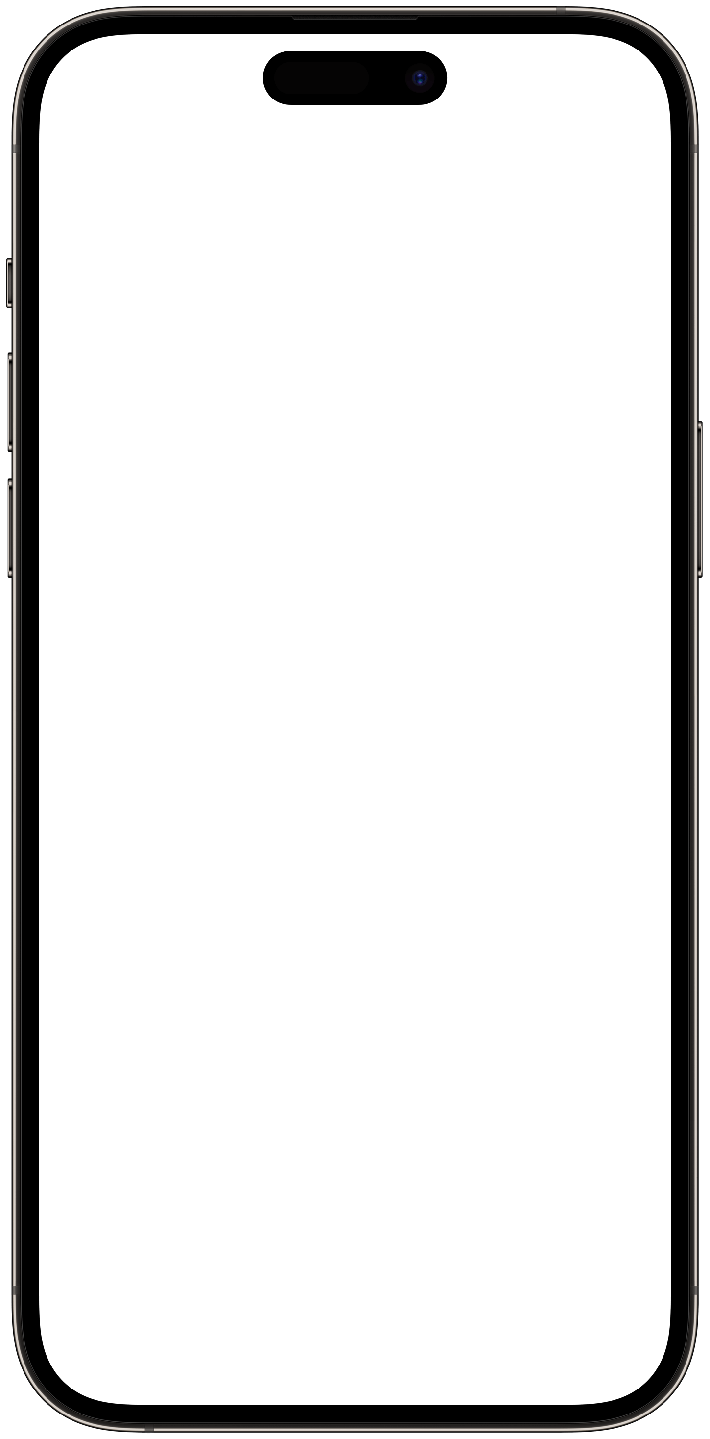iPhone frame